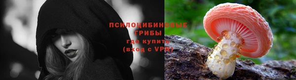 скорость Алзамай
