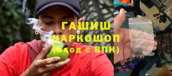 гидра Алексеевка