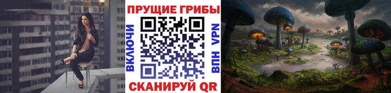 Псилоцибиновые грибы мухоморы Сураж