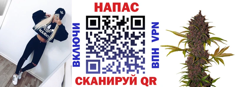 Каннабис Ganja  Сураж 